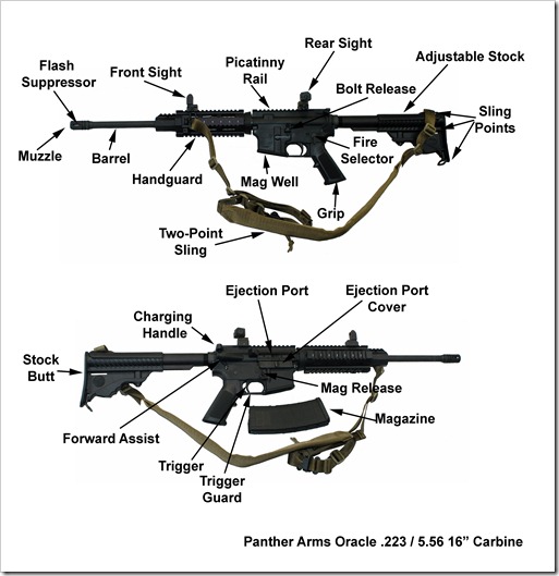 DPMS 223 Carbine Discription