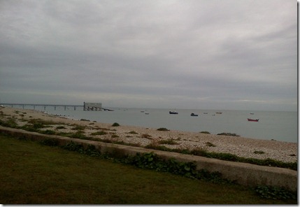 Selsey 010