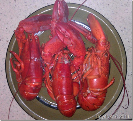 3.99 per lb lobster