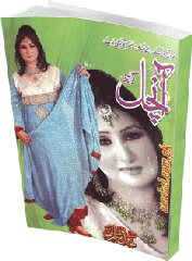 Aanchal Digest January 2013