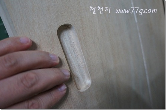 철천지DSC01270-20120517-175239