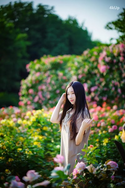 Bambi (밤비) Lacerta Photography