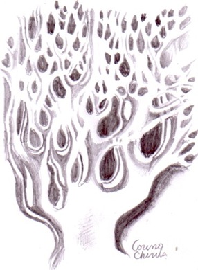 Structura biologica ramificata desen in creion