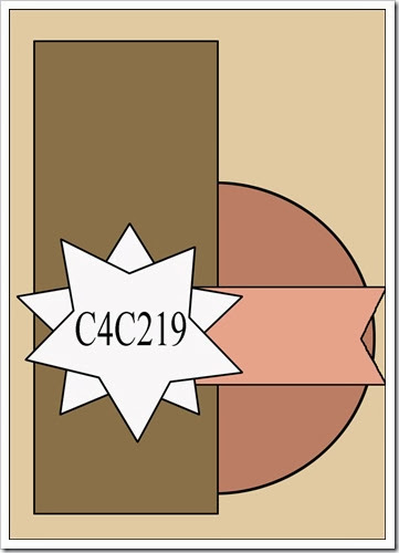 C4C219Sketch