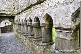 Connemara. Headford. Ruinas del convento Ross Errilly - DSC_0345