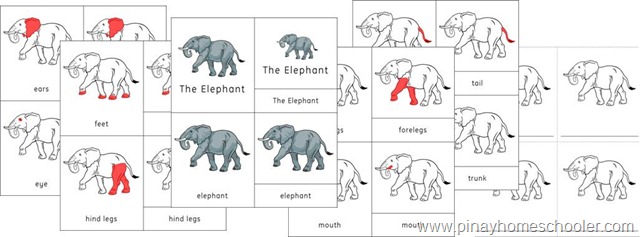 Asia Continent Elephant and Camel Nomenclature Cards