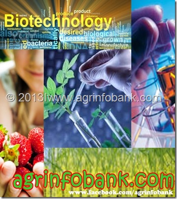Biotechnology adoption can help overcome agriculture challenges