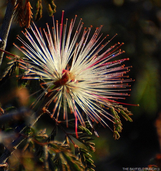 [DSC_4894%255B4%255D.jpg]