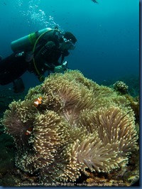 IMG_6234 IMG_6234