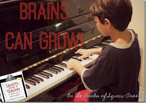 brains grow