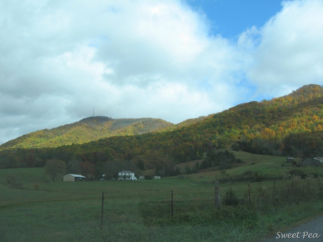 [Sedalia3%255B3%255D.jpg]