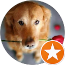 Alessander Saul Roman