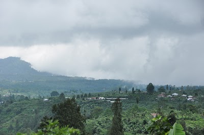 DSC_0017.jpg