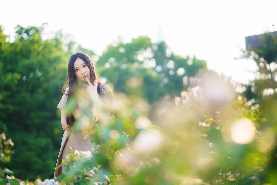Bambi (밤비) Lacerta Photography