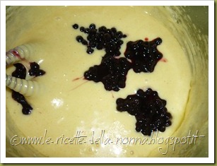 Muffin allo yogurt e mirtilli (6)