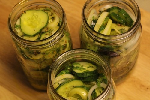 refrigerator-pickles_0012