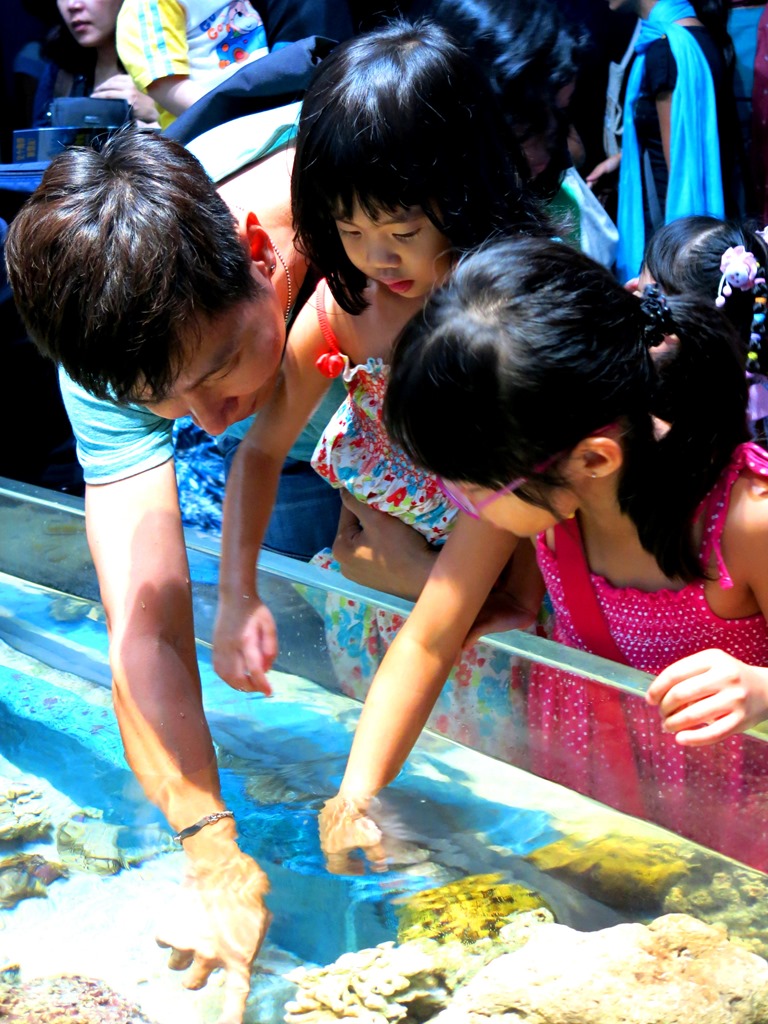 [IMG_5838%255B3%255D.jpg]