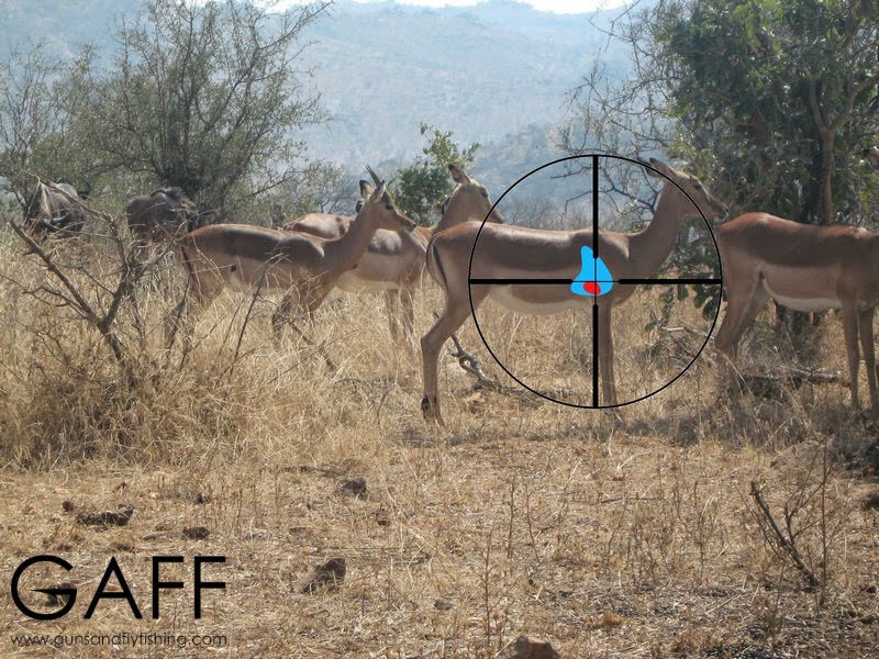 Impala-hunting-shot-placement (1).jpg