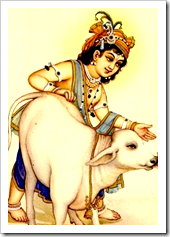 [Lord Balarama with cow]