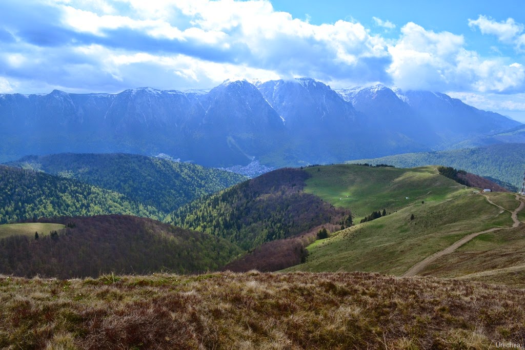 [DSC_00192.jpg]