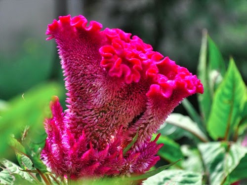 [clip_image001%255B3%255D.jpg]