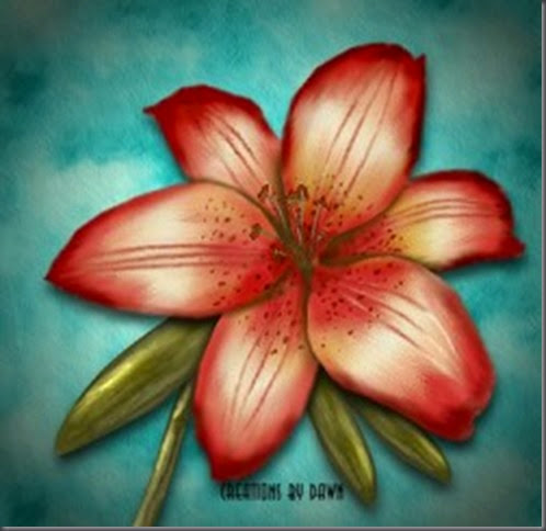 gambar-lukisan-bunga-lily-merah-250x243