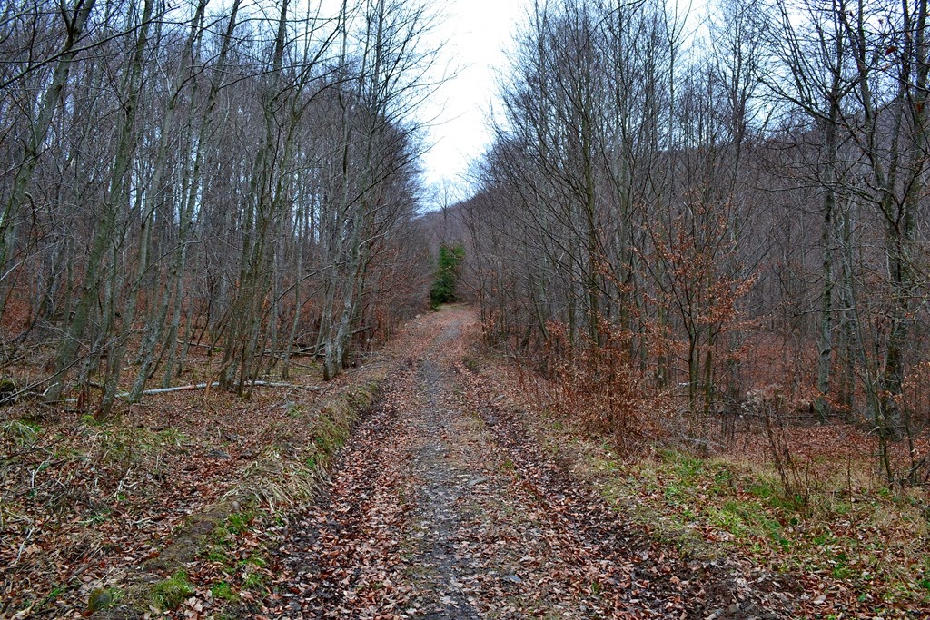 [DSC_09113.jpg]