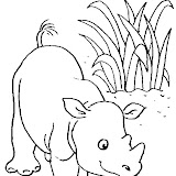 rhinoceros3.jpg
