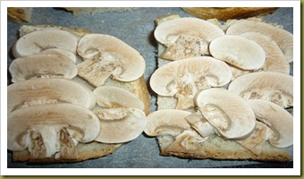 Crostini con funghi. mozzarella e origano (2)