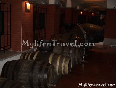 Wine Museum 35