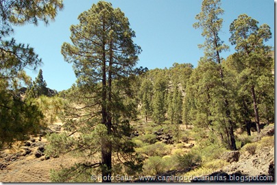 6216 Montaña Alsandara 6216 Montaña Alsandara