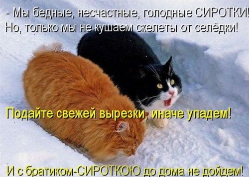 [1354868441_kotomoto-19%255B4%255D.jpg]