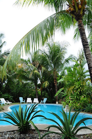 Cazare Costa Rica: Entre Dos Aguas - piscina tropicala (Samara)