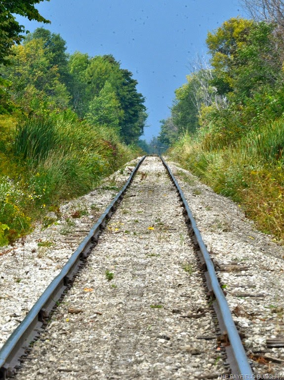 [DSC_0001-001%255B4%255D.jpg]