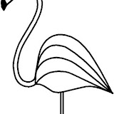col-zoo-flamingo.jpg