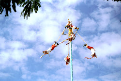 Reise nach Mexiko - 07