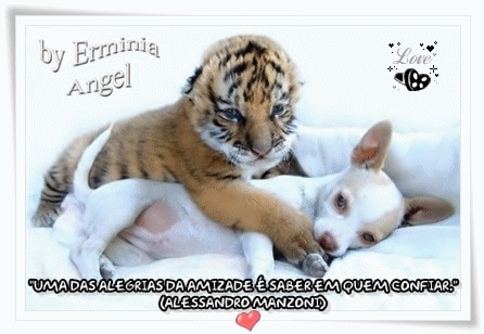 Erminia4.gif