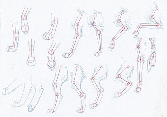 Desenhando lobos Part 4
