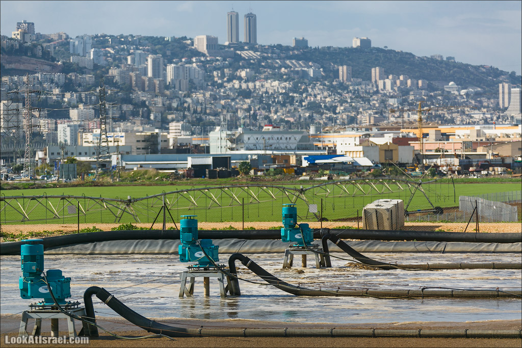 LookAtIsrael.com - Восстановление реки Кишон | Recovering Kishon river | שיחזור נחל קישון