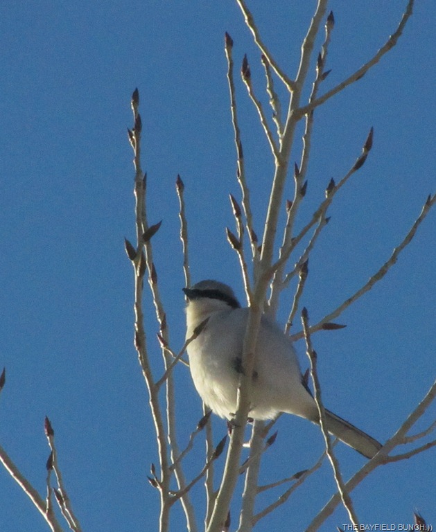 [IMG_1486%255B8%255D.jpg]