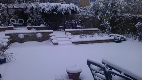 Now where's the cat???