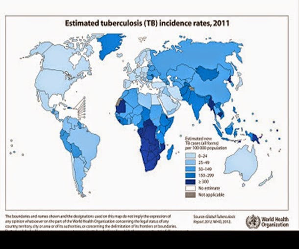 tuberculosis_incidence_global_2011