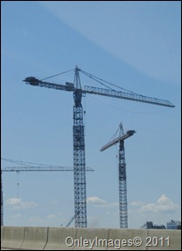 cranes0817 (1)