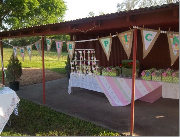 Picnic Set Up