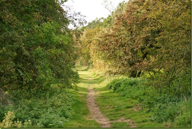 West Acre Norfolk in Autumn