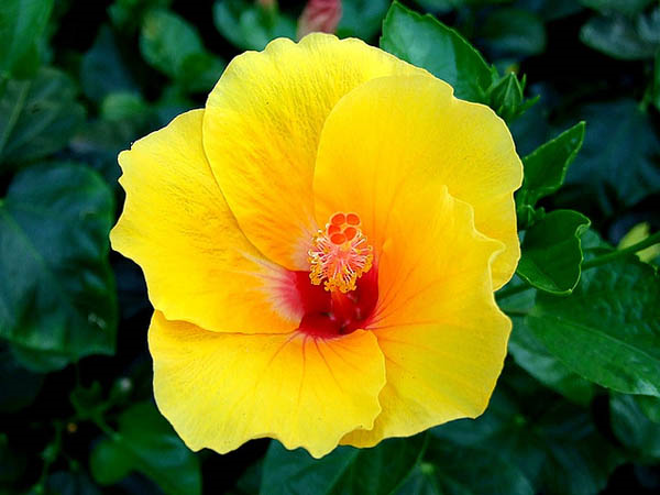 [image%255B85%255D.png]