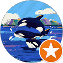 Sander Bollee profile picture