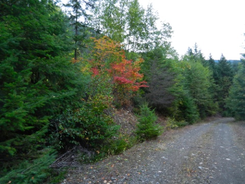 DSCN0384.jpg DSCN0384