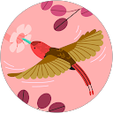 Image Google de Severine gloanec