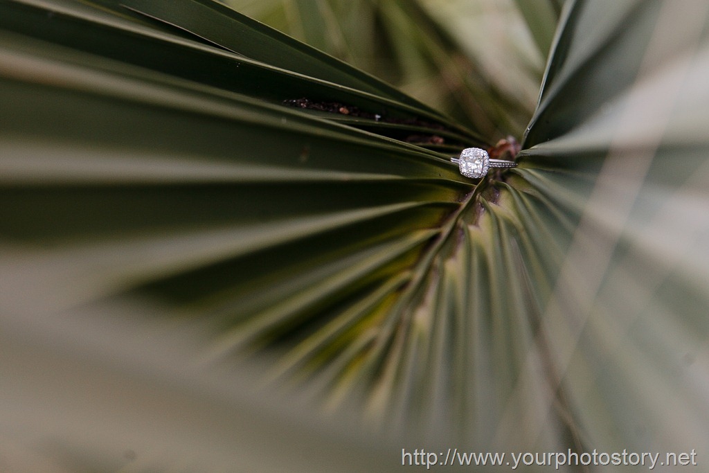 [IMG_0701%255B8%255D.jpg]